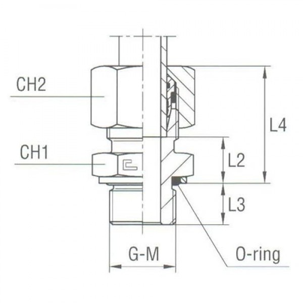 Male Stud Coupling with O-Ring and Washer Thread Metric Parallel – Equipped B4 Ring