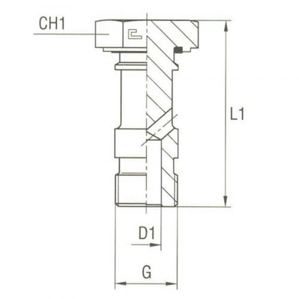 Banjos Bolts Thread BSP Parallel
