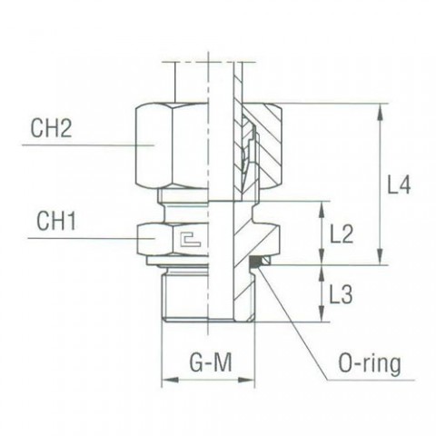 Male Stud Coupling with O-Ring and Washer Thread Metric Parallel – Equipped B3 Ring