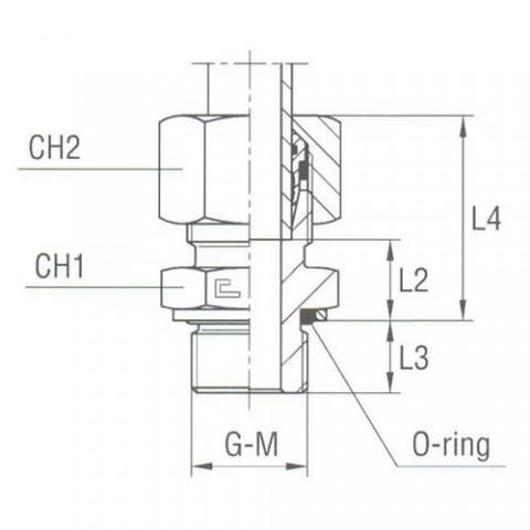 Male Stud Coupling with O-Ring and Washer Thread Metric Parallel – Equipped B4 Ring
