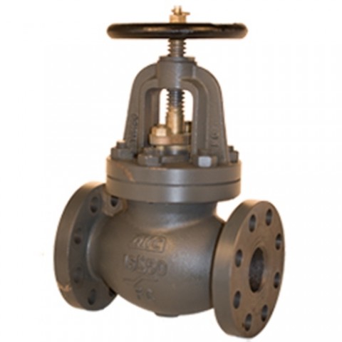 F7377 16K Cast Iron Globe Valve (SDNR)