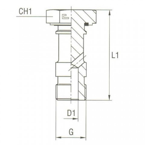 Banjos Bolts Thread BSP Parallel
